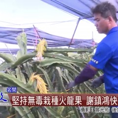 測試文章